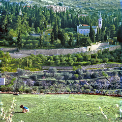 One of the views of Ein Kerem - Jerusalem