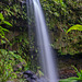 Emerald Pool