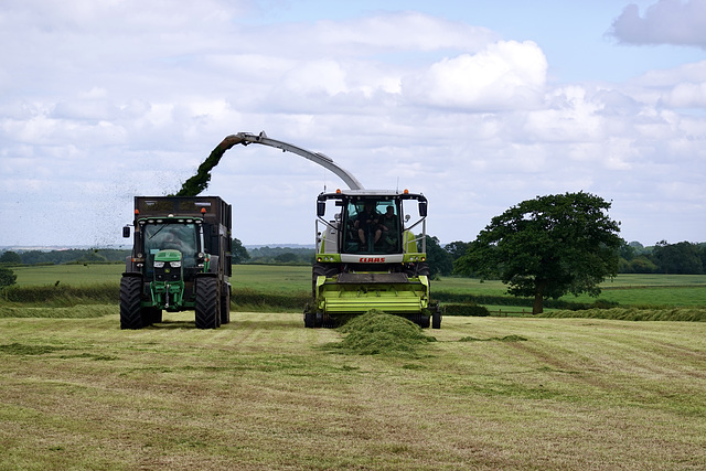 Silage Time