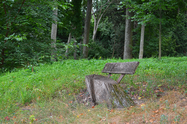Тростянецкий дендропарк, Скамейка / Trostyanets Arboretum, The Bench