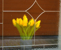 ... tulipes vitrée ...