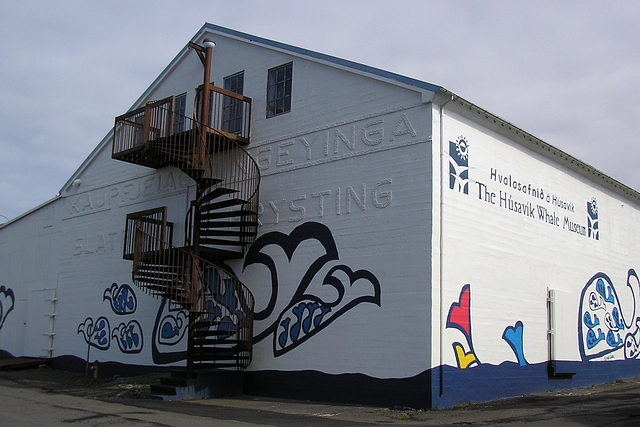 Husavik Whale Museum