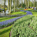 Keukenhof Gardens