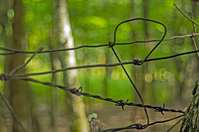 Bend in the Fence