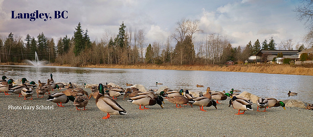 Langley, BC Canada