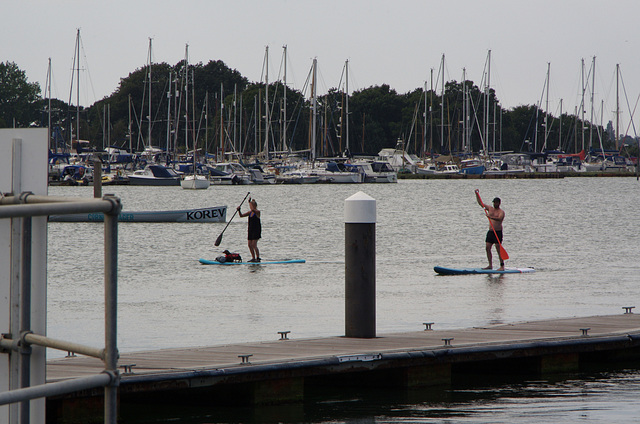 Paddle-boarders and dog