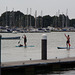 Paddle-boarders and dog