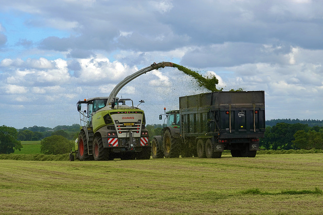 Silage Time