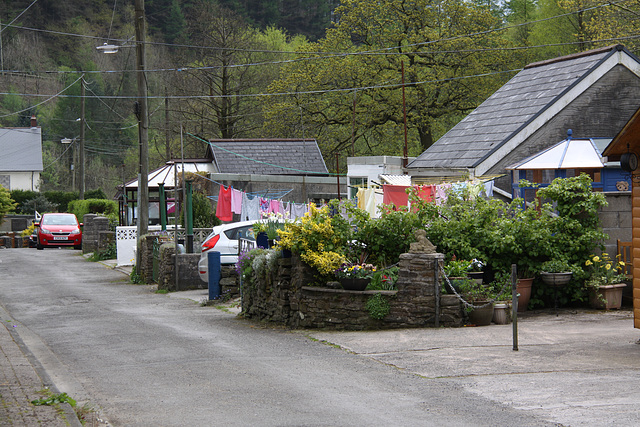 Pontyrhyl front gardens