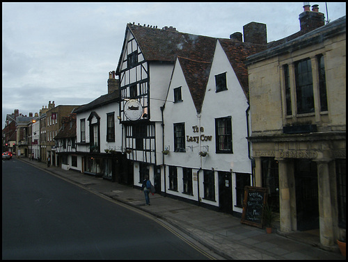 The Lazy Cow at Salisbury