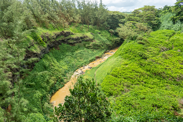 Mauritius-0263