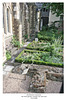 Southwark Cathedral Herb Garden 16 8 2008