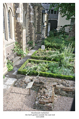 Southwark Cathedral Herb Garden 16 8 2008