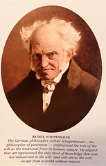 The LEGACY of SCHOPENHAUER