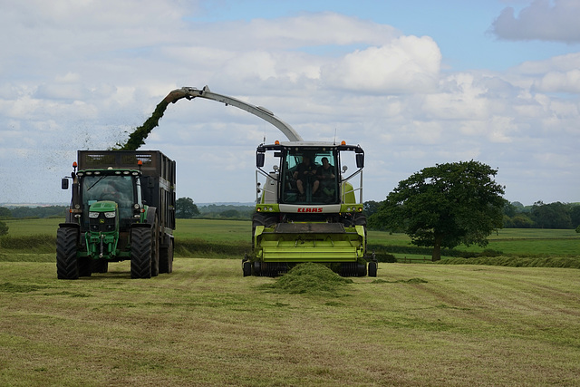 Silage Time