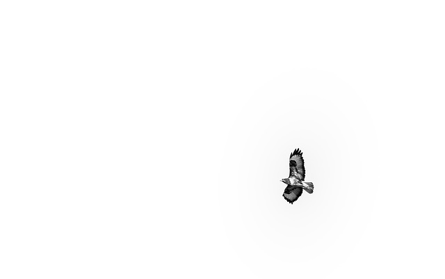 Alone