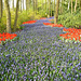 Keukenhof Gardens