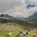 Bergwelt beim Timmelsjoch (© Buelipix)