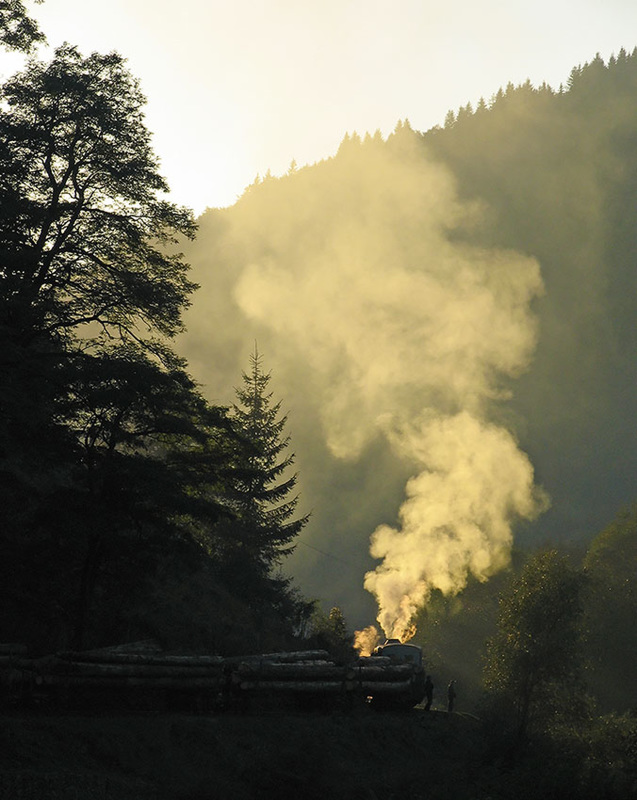 Logging sunset