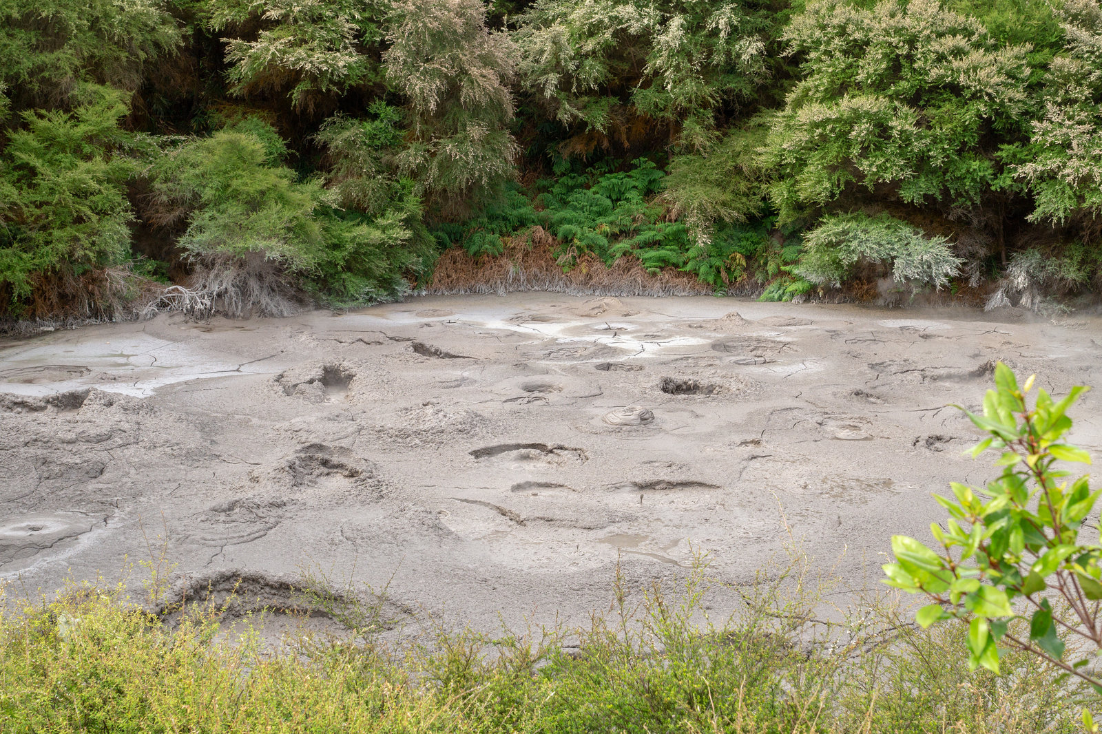 Neuseeland - Rotorua - Te Puia