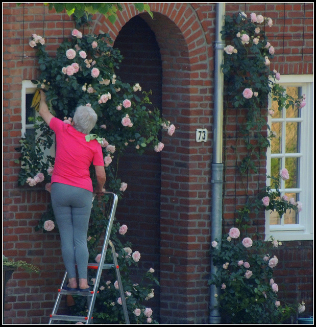 Clean-Up  Flowers