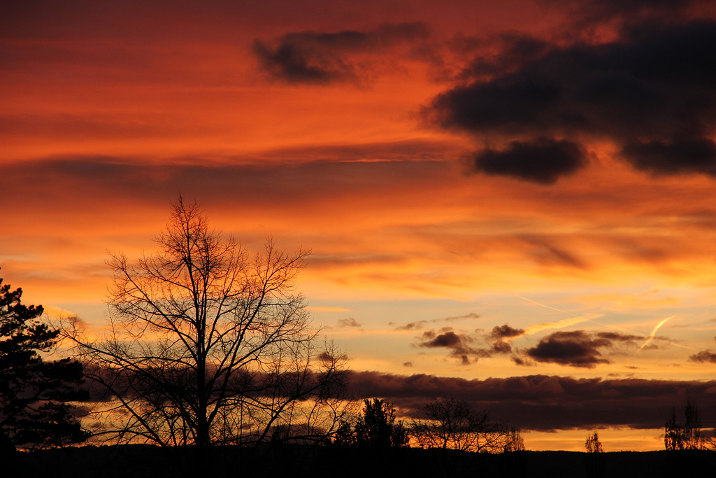 Sonnenuntergang über dem Bodensee