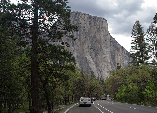 Yosemite El Capitan  (#0549)