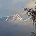 From the fog emerge the capped peaks