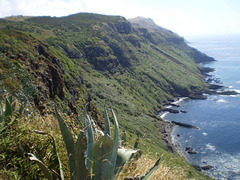 Beholding cliffs and coast.