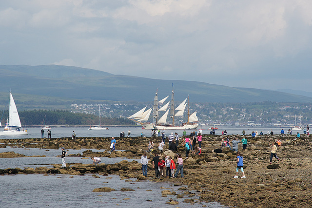 Parade Of Sail