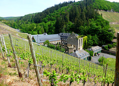 DE - Dernau - Blick auf Kloster Marienthal