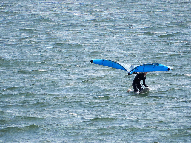 un papillon sur la mer,