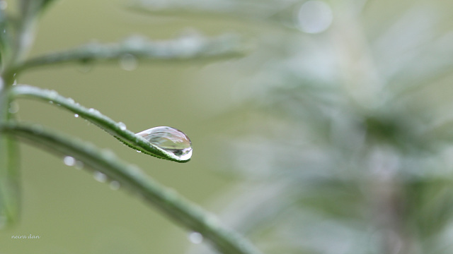 Après l'orage