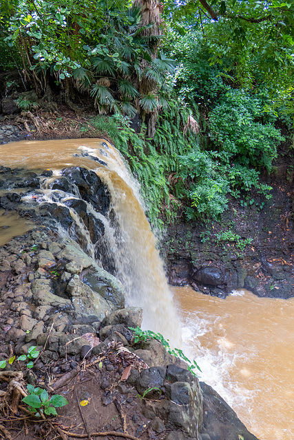 Mauritius-0267