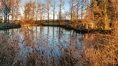 Sonnenuntergang am Dorfweiher - Schmidham