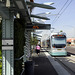 Phoenix Light Rail Stop