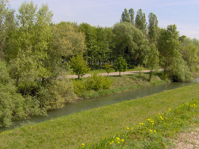 Frühling in Rheinmünster