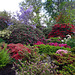 #6 - Amelia Heath - Bodnant Gardens - 12̊ 3points