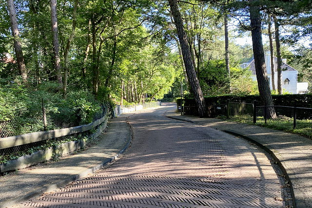 The high road in Bloemendaal