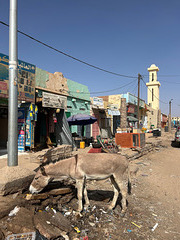 In the streets of Atar.