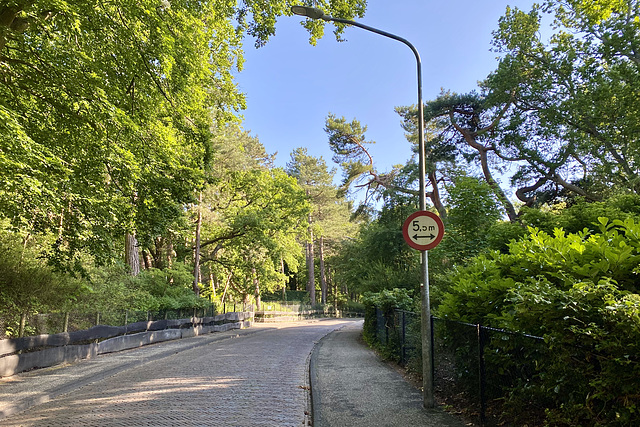 The high road in Bloemendaal