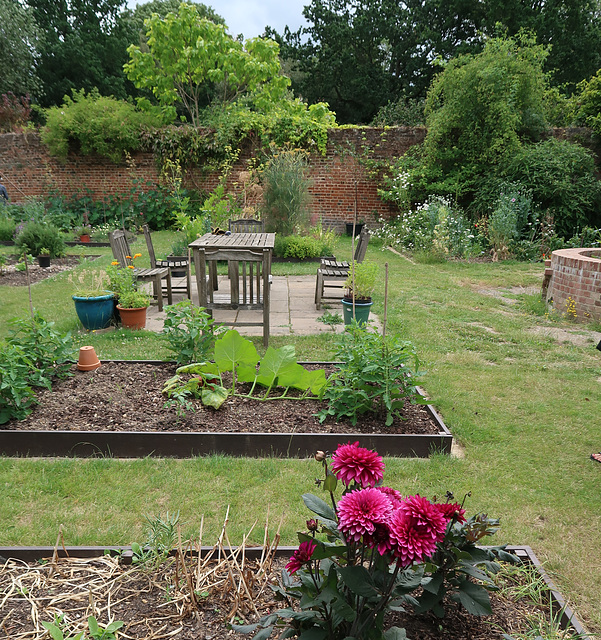 Raised beds in the walled garden