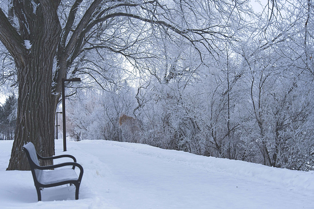 a frosty bench