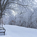 a frosty bench