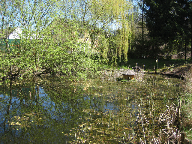 Dorfteich in Paplitz /2