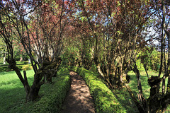 Jardins de l'abbaye de la Guiche