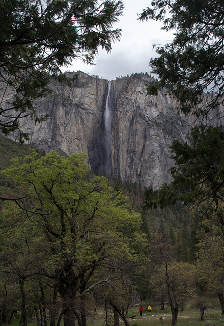 Yosemite Valley Ribbon falls (#0551)