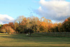 Les couleurs de l'automne