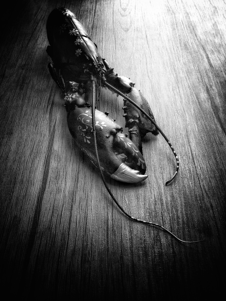 i painted my lobster