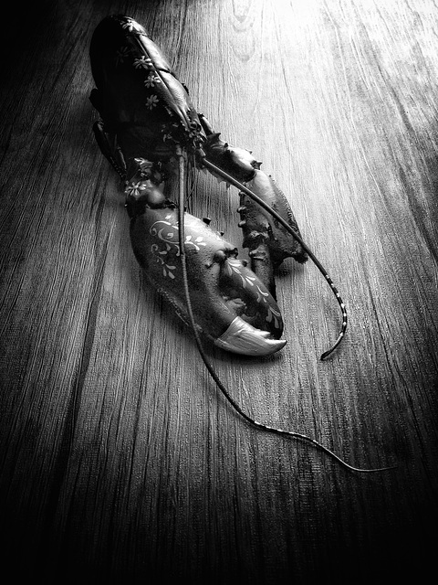 i painted my lobster